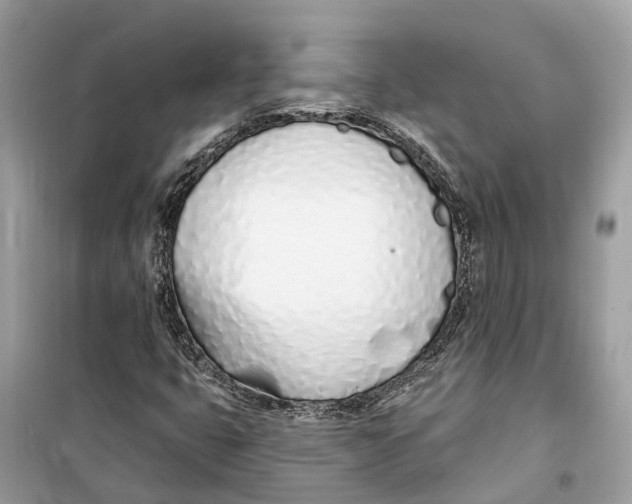 X0000099321399200805231415