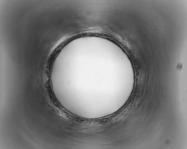 X0000099321400200805231415