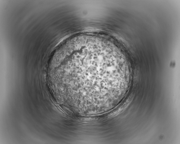 X0000099321401200805231415