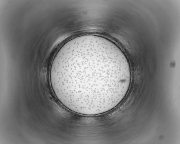 X0000099321402200805231415