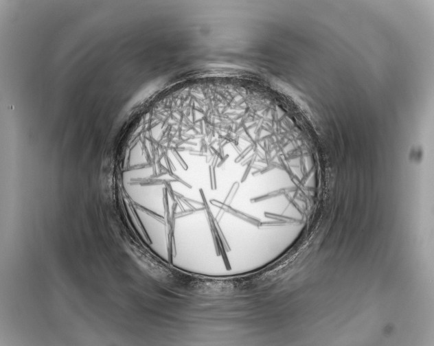 X0000099321403200805231415