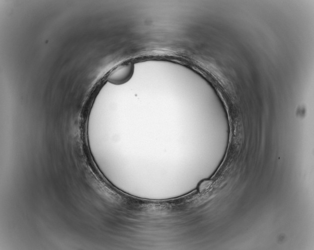 X0000099321404200805231415