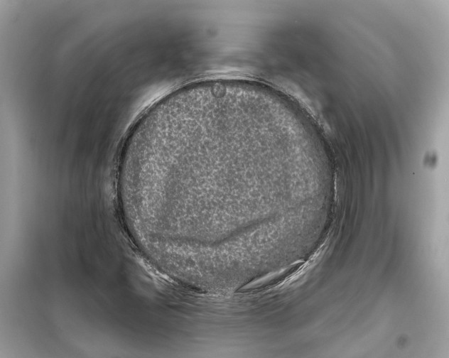 X0000099321405200805231415