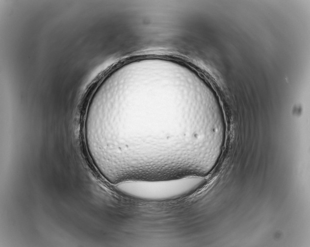 X0000099321406200805231415