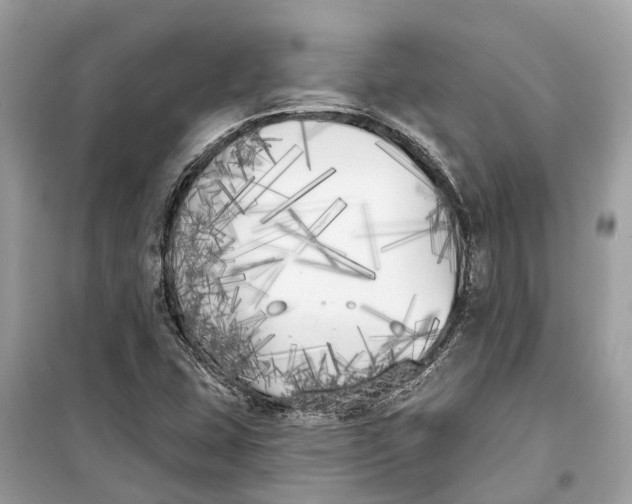 X0000099321407200805231415