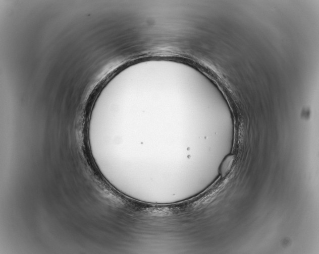 X0000099321410200805231415