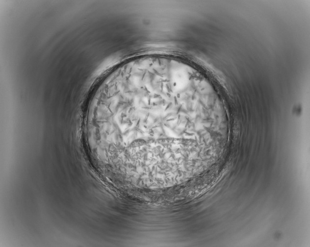 X0000099321411200805231415