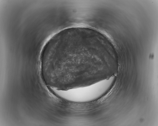 X0000099321414200805231415