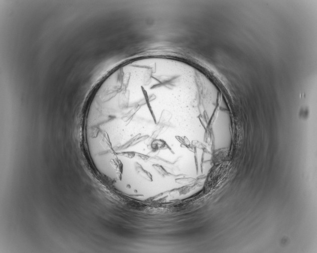 X0000099321415200805231415