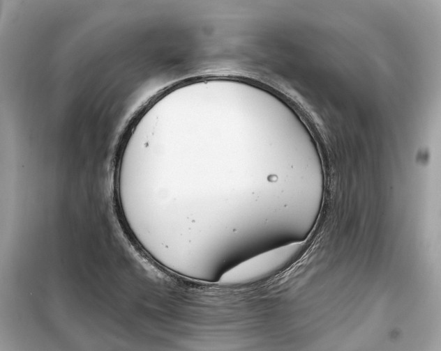 X0000099321416200805231415