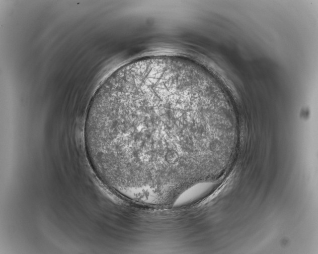 X0000099321417200805231415