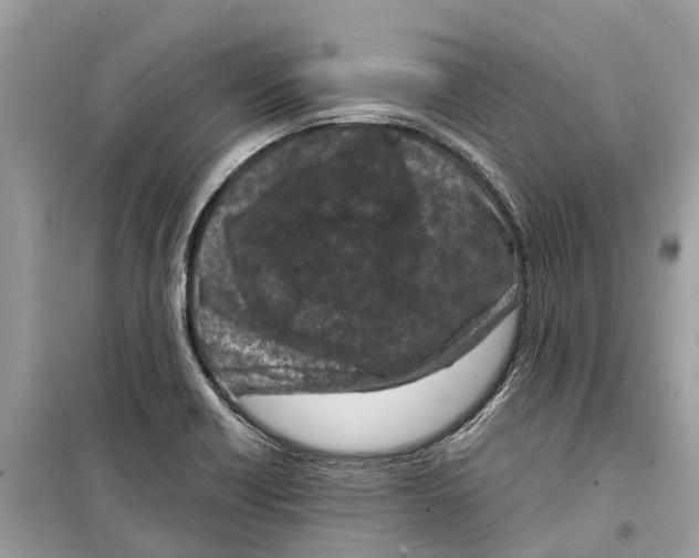 X0000099321418200805231415