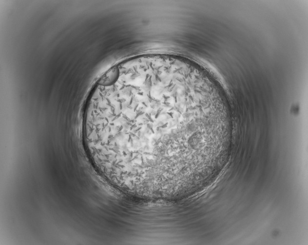 X0000099321419200805231415