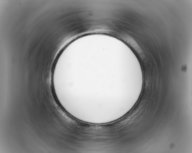 X0000099321420200805231415