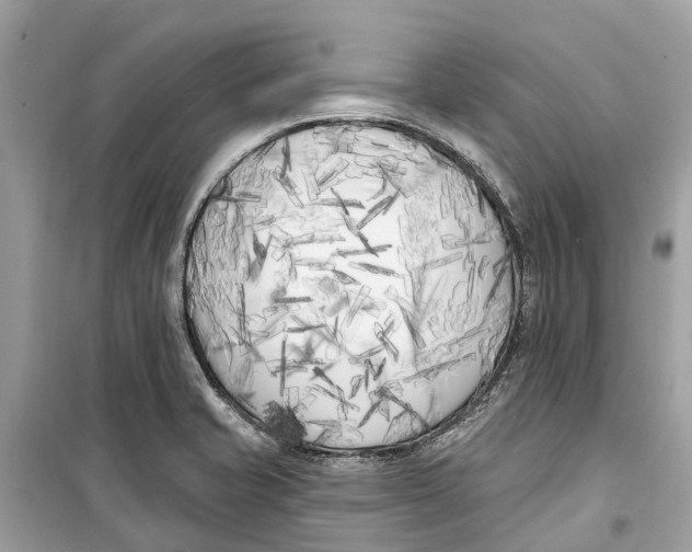 X0000099321421200805231415