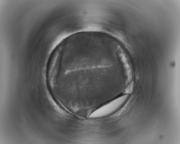 X0000099321422200805231415