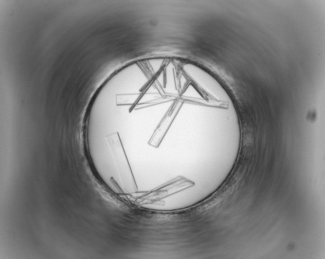 X0000099321423200805231415