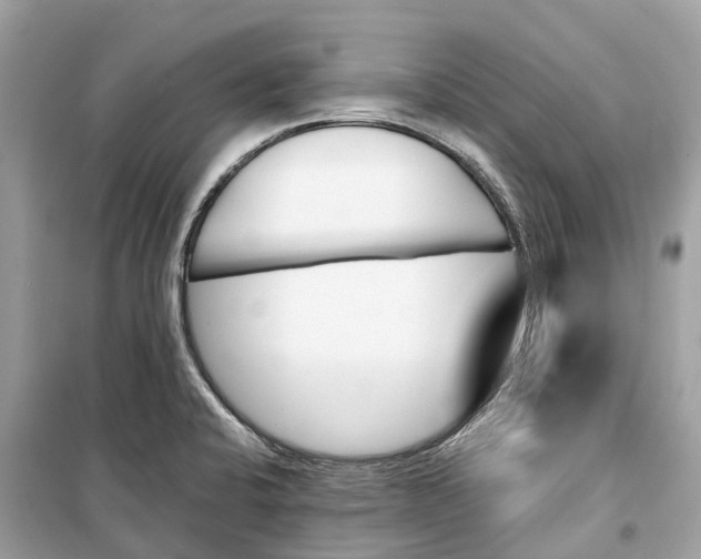 X0000099321424200805231415