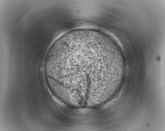 X0000099321425200805231415