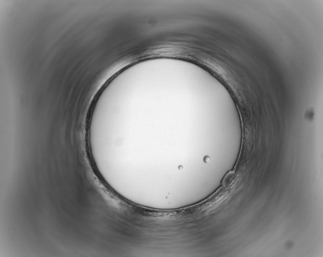 X0000099321426200805231415