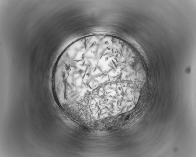 X0000099321427200805231415