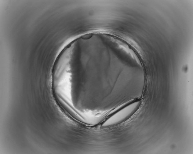 X0000099321428200805231415