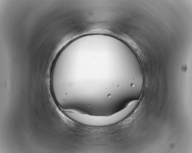 X0000099321430200805231415