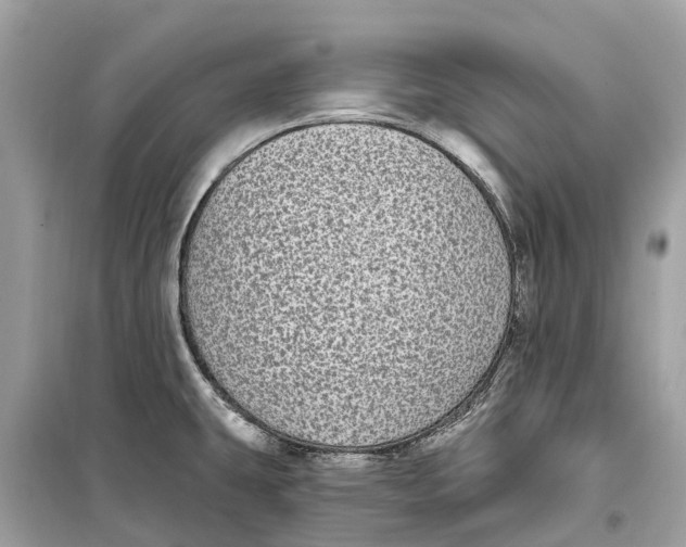 X0000099321431200805231415