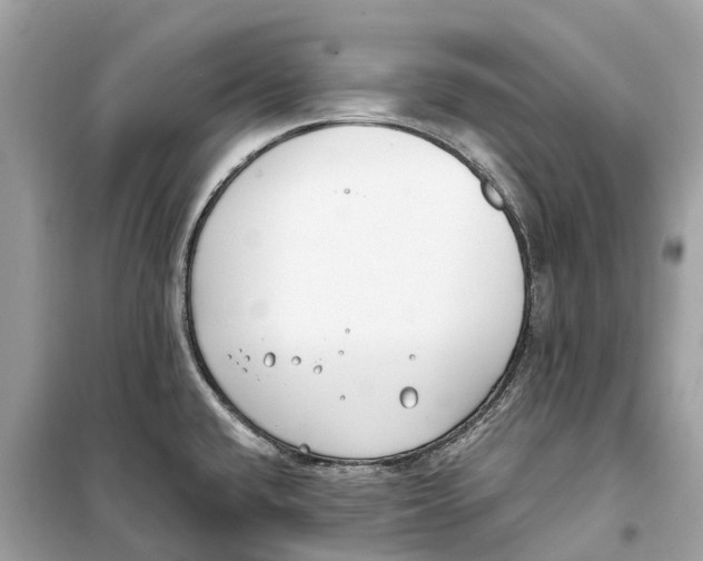 X0000099321432200805231415