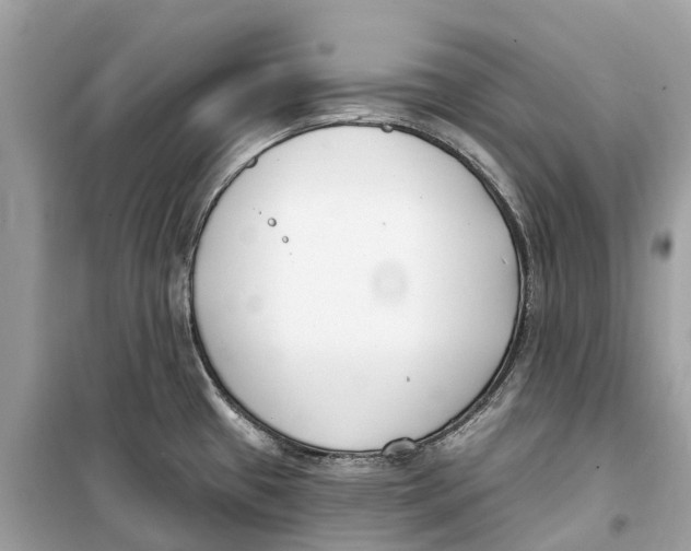 X0000099321433200805231415