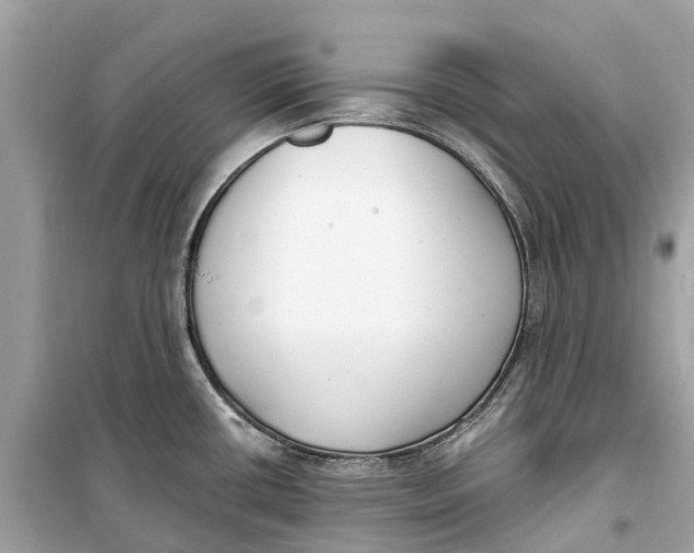 X0000099321434200805231415