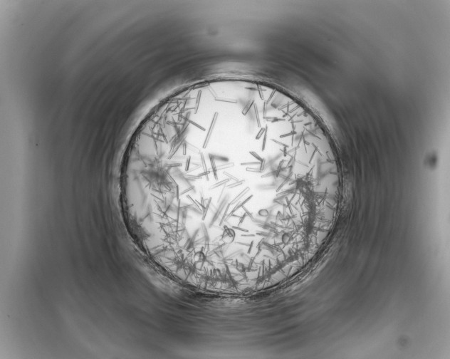 X0000099321435200805231415