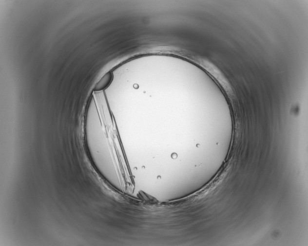 X0000099321436200805231415