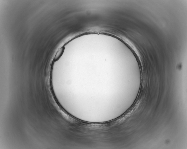 X0000099321437200805231415