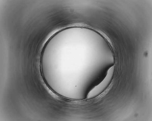 X0000099321438200805231415