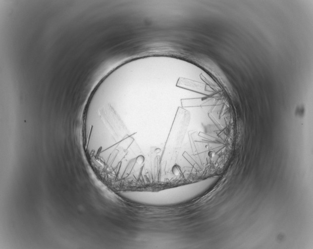 X0000099321439200805231415