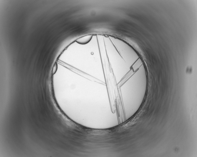 X0000099321440200805231415