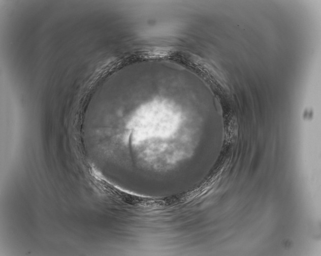 X0000099321441200805231414