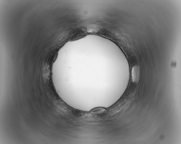 X0000099321443200805231414