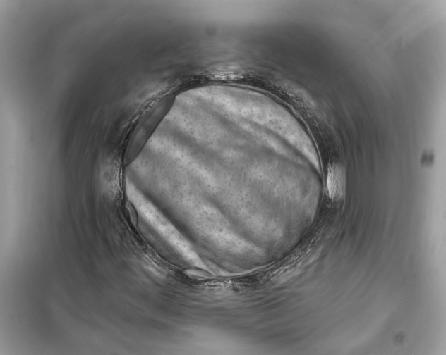 X0000099321444200805231414