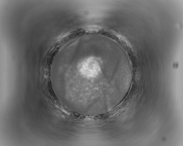 X0000099321445200805231414