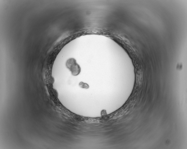 X0000099321446200805231414