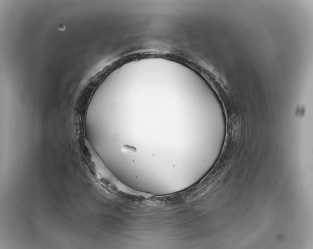 X0000099321448200805231414