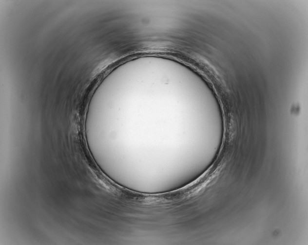 X0000099321449200805231414