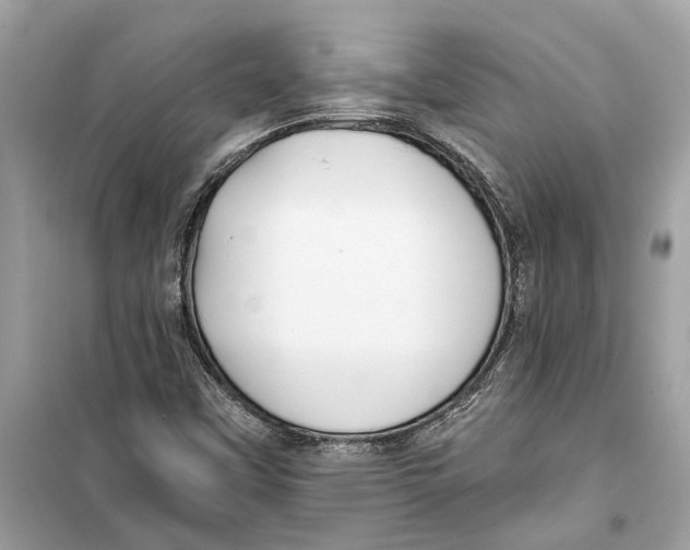 X0000099321451200805231414