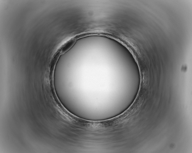 X0000099321452200805231414