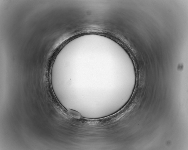 X0000099321453200805231414