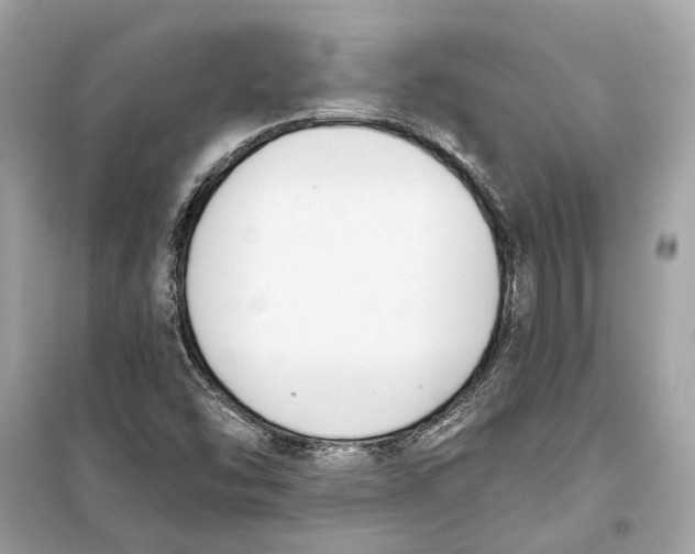 X0000099321454200805231414