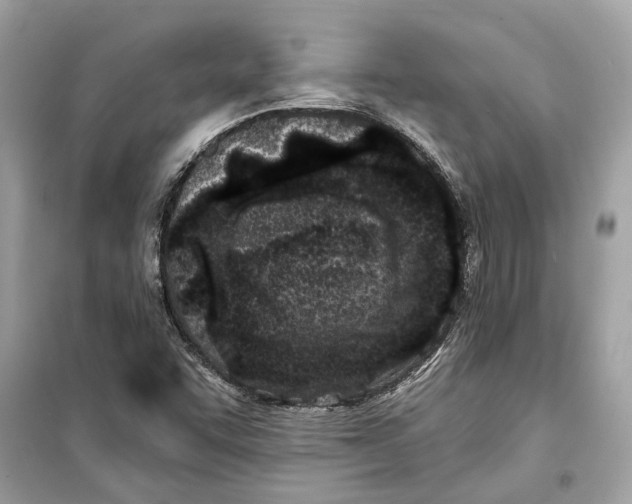 X0000099321455200805231414