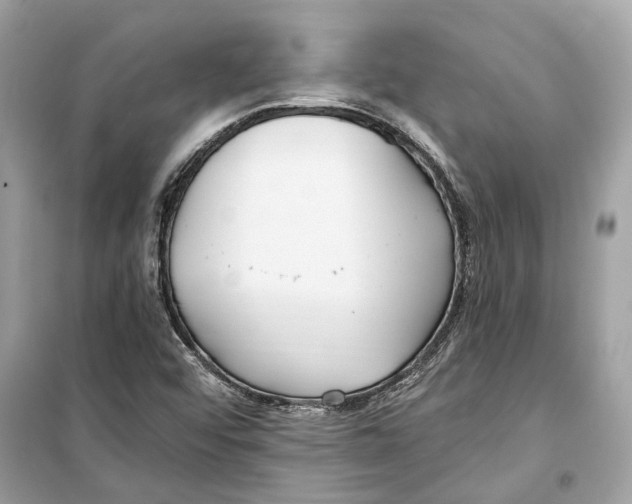 X0000099321456200805231414